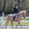 In the Show Ring